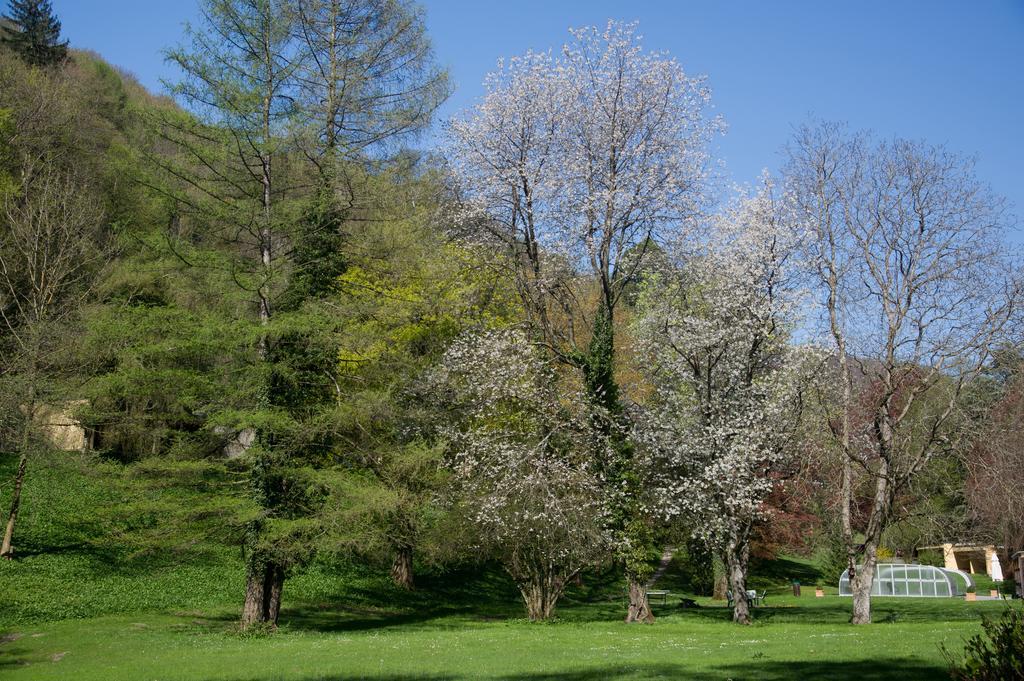 Hotel Schloss Ragaz Bad Ragaz Eksteriør billede